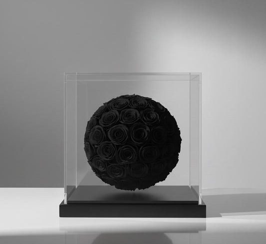 ORB