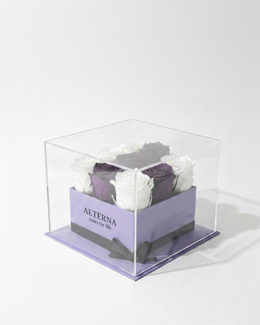 AETERNA BOX PURPLE