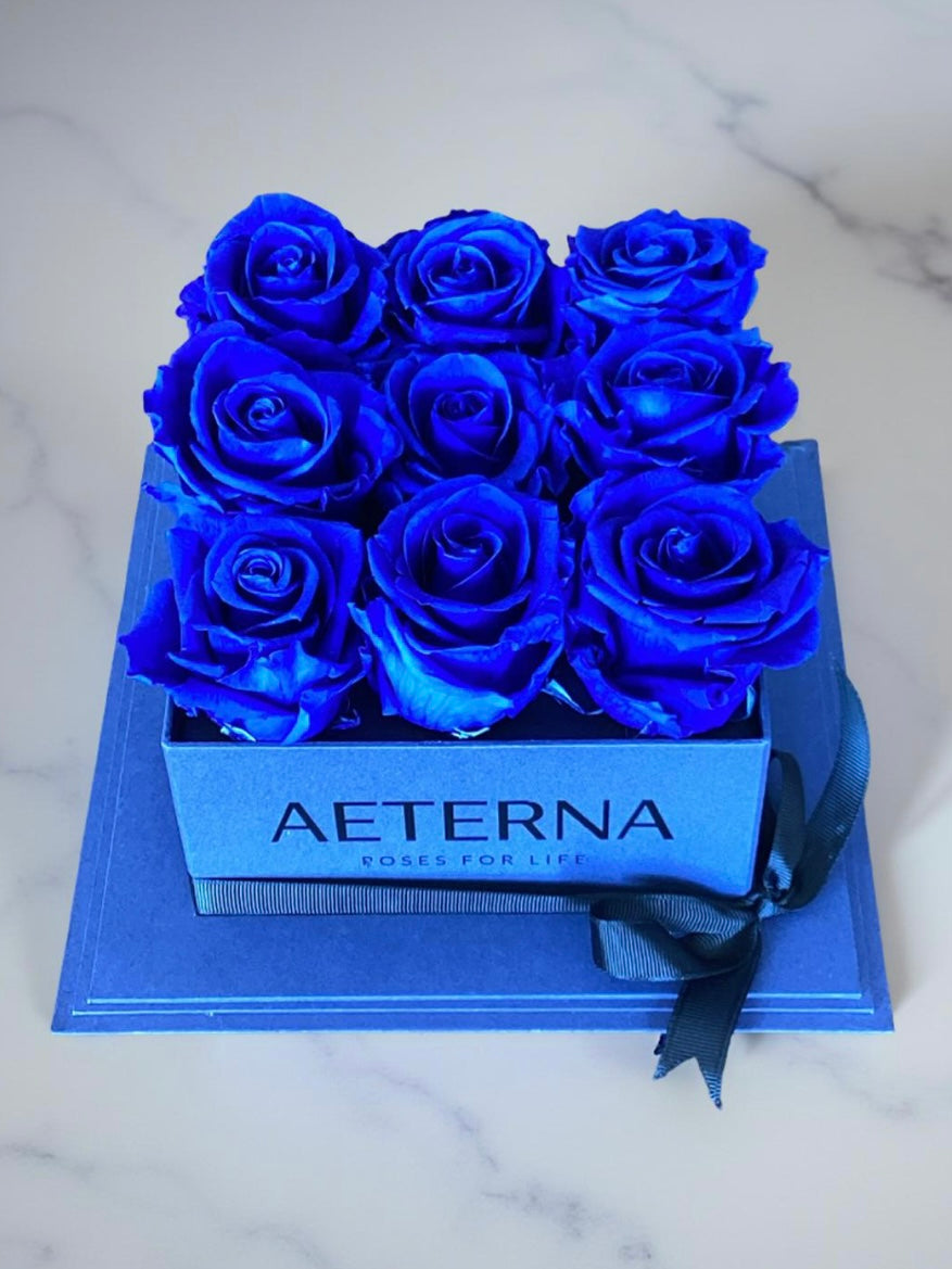 AETERNA BOX BLUE
