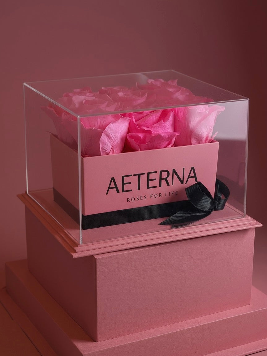 AETERNA BOX PINK