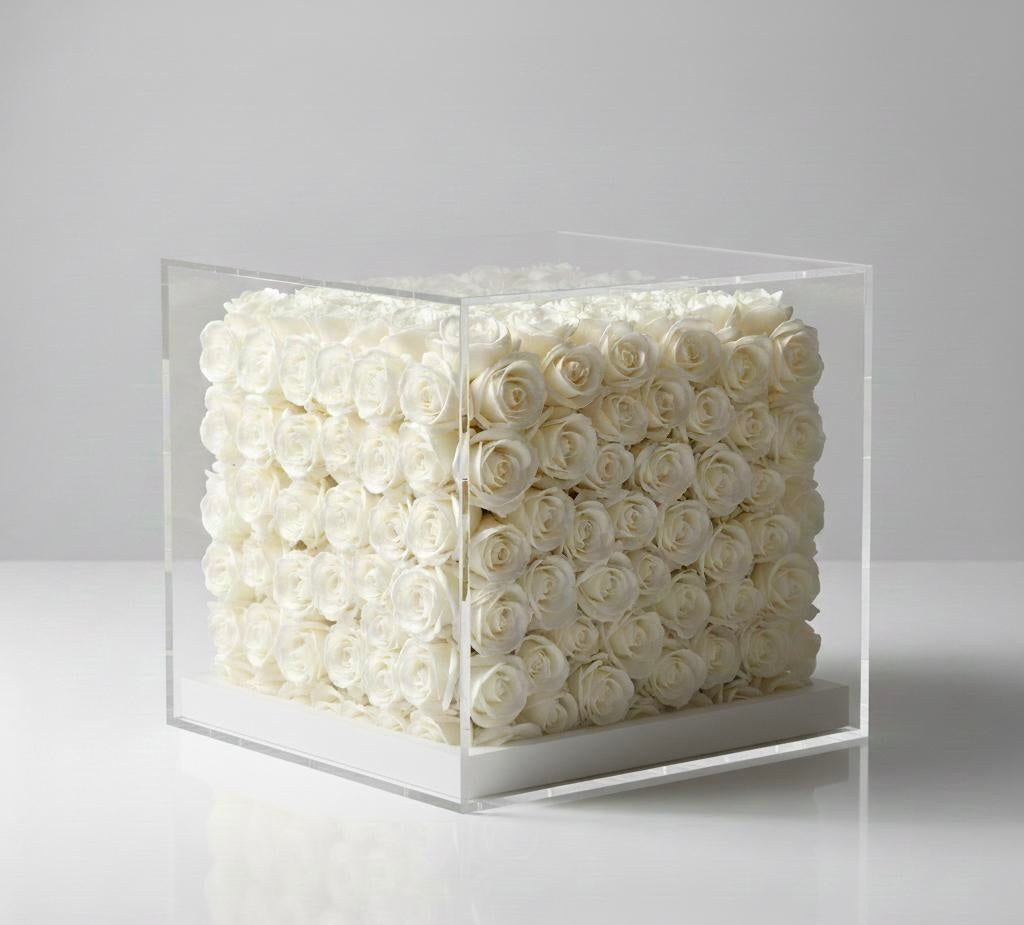 CUBE