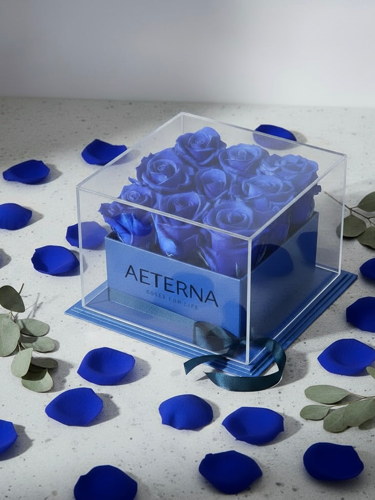 AETERNA BOX BLUE