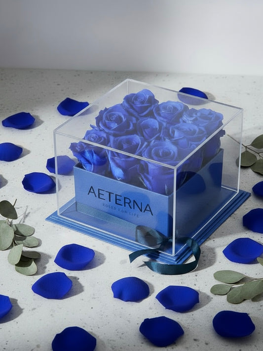AETERNA BOX BLUE