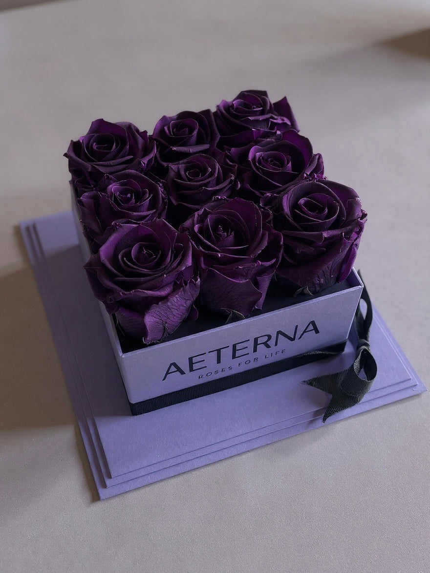AETERNA BOX PURPLE