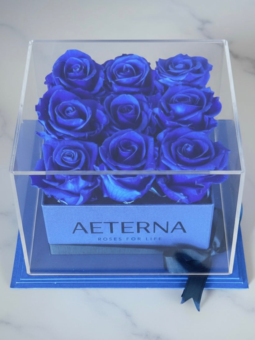 AETERNA BOX BLUE