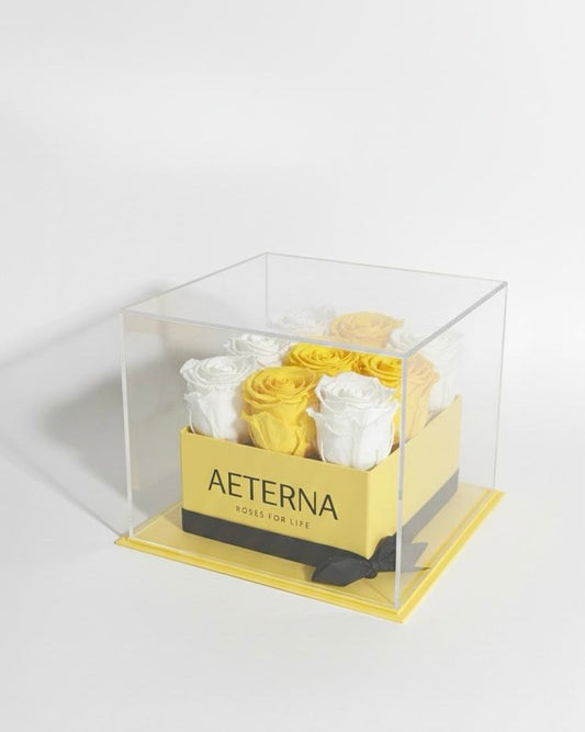 AETERNA BOX YELLOW