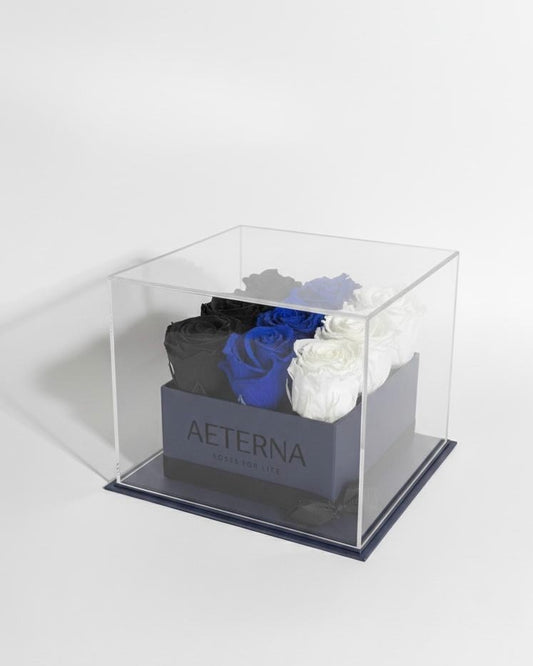 AETERNA BOX BLUE