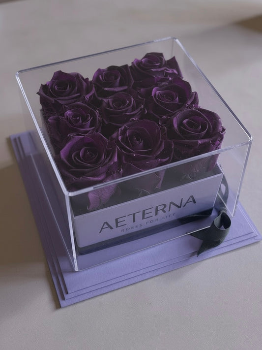 AETERNA BOX PURPLE