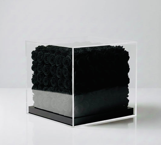 CUBE