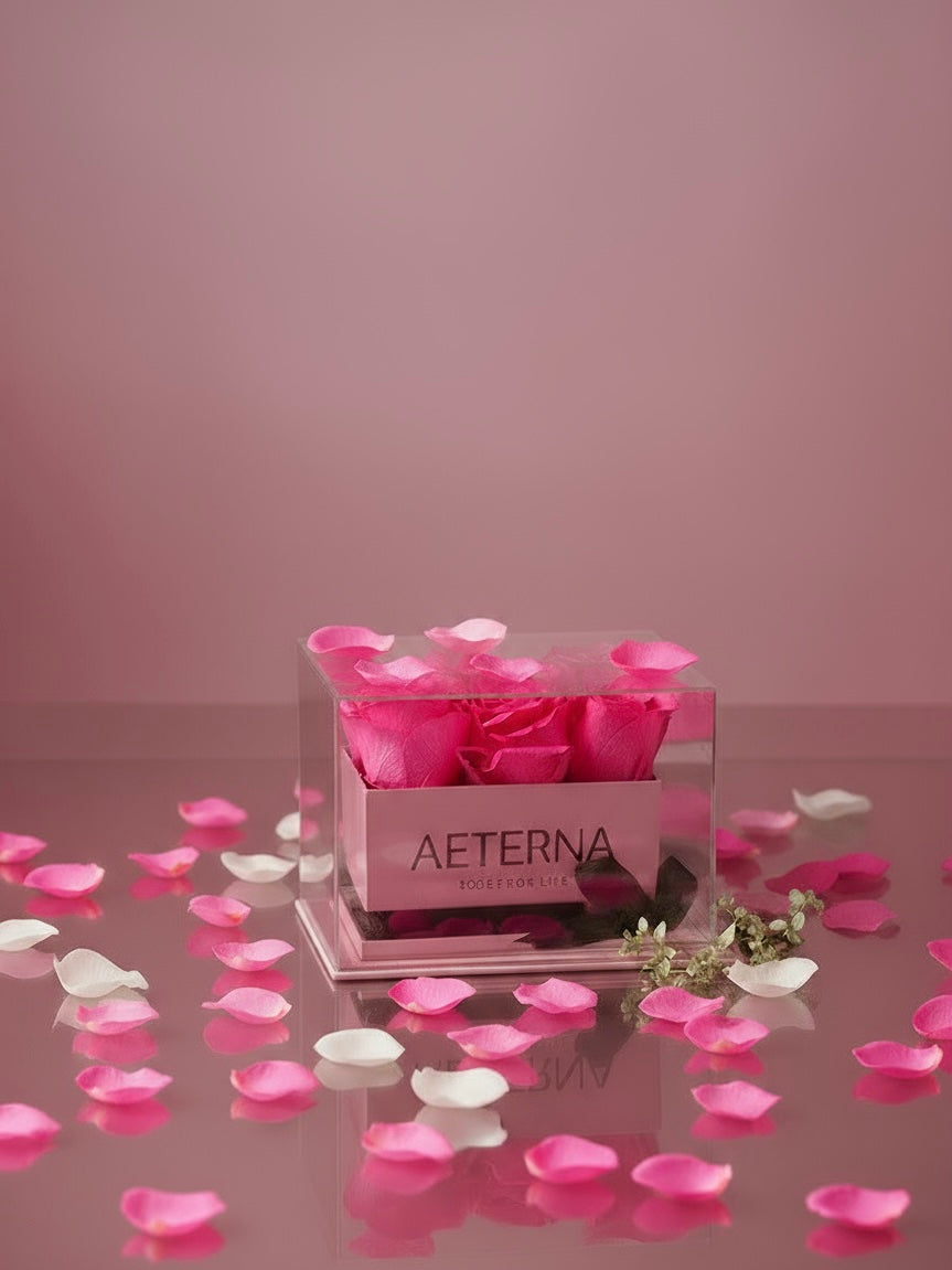 AETERNA BOX PINK