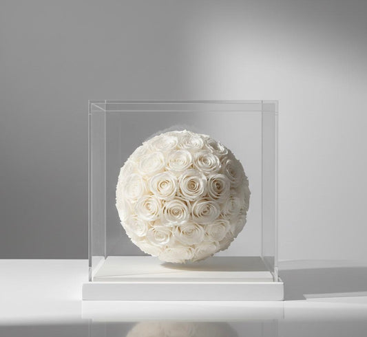 ORB