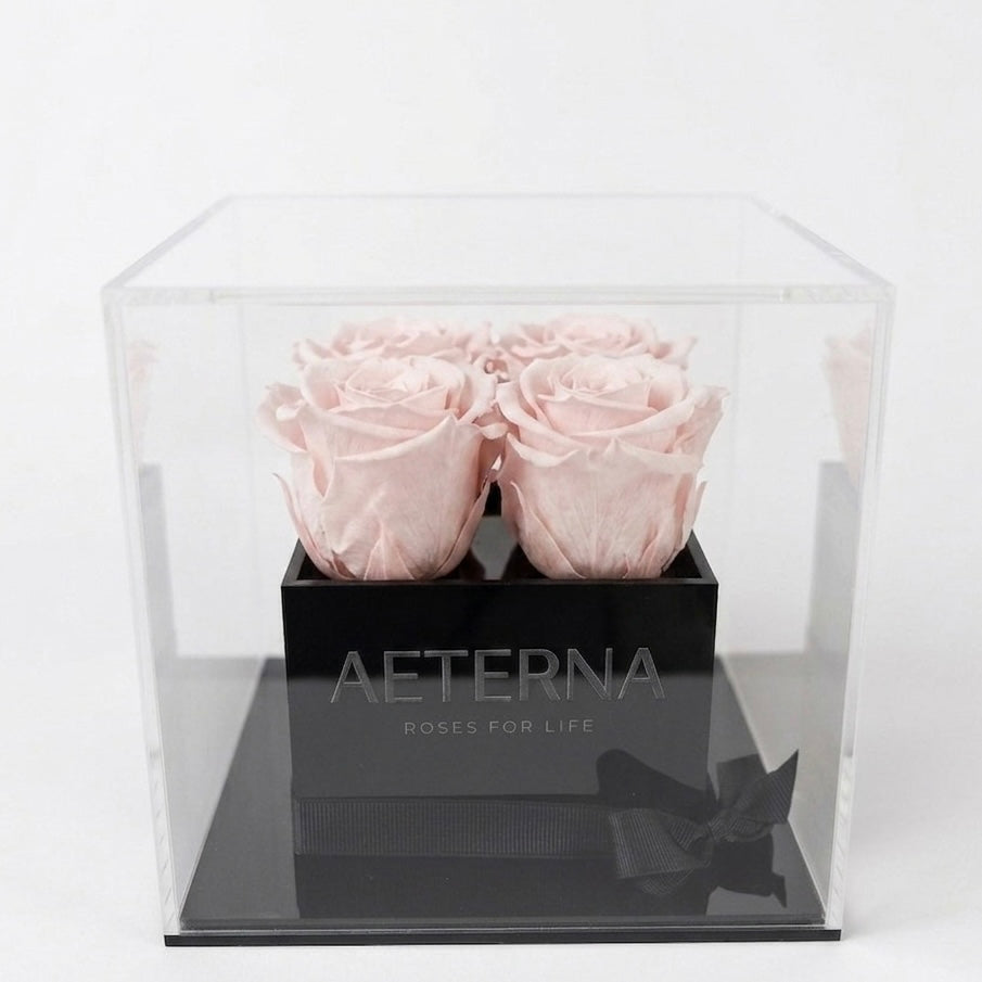 AETERNA BOX IV