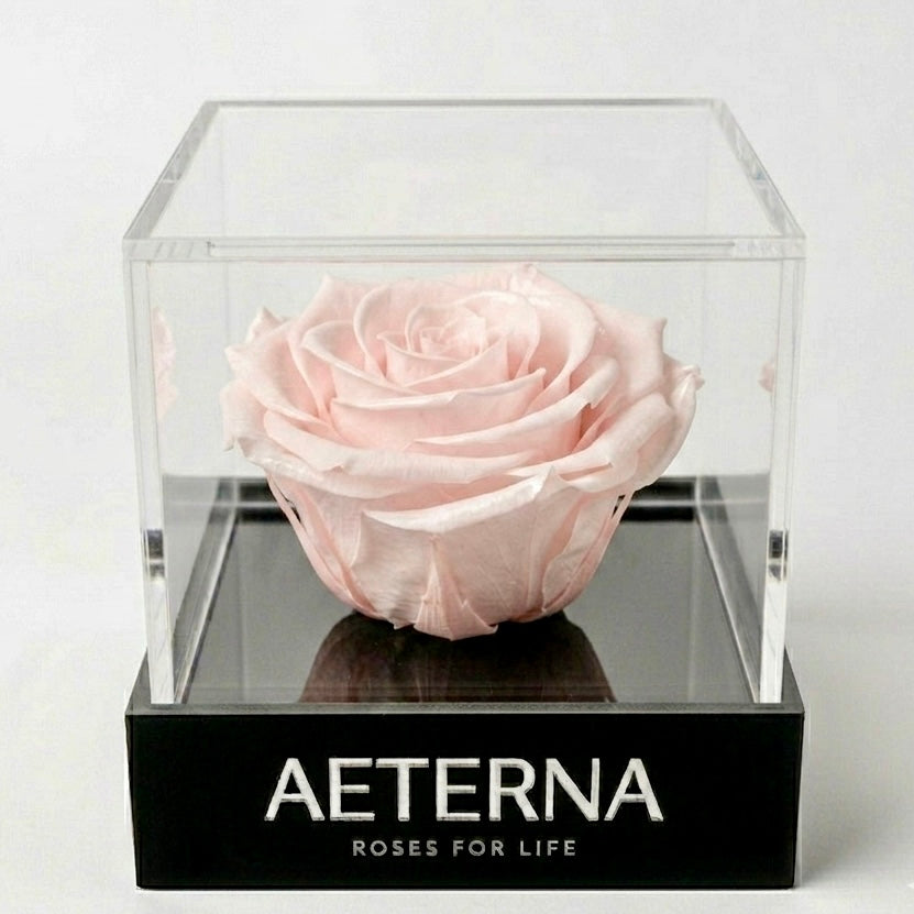ÚNICA BOX