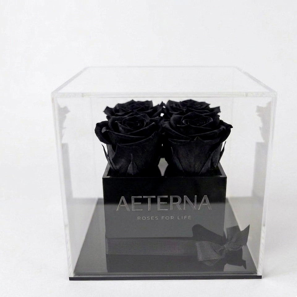 AETERNA BOX IV