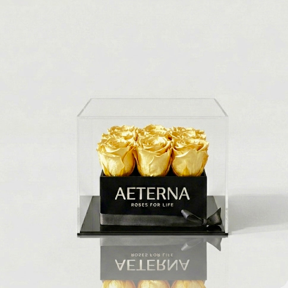 AETERNA BOX IX
