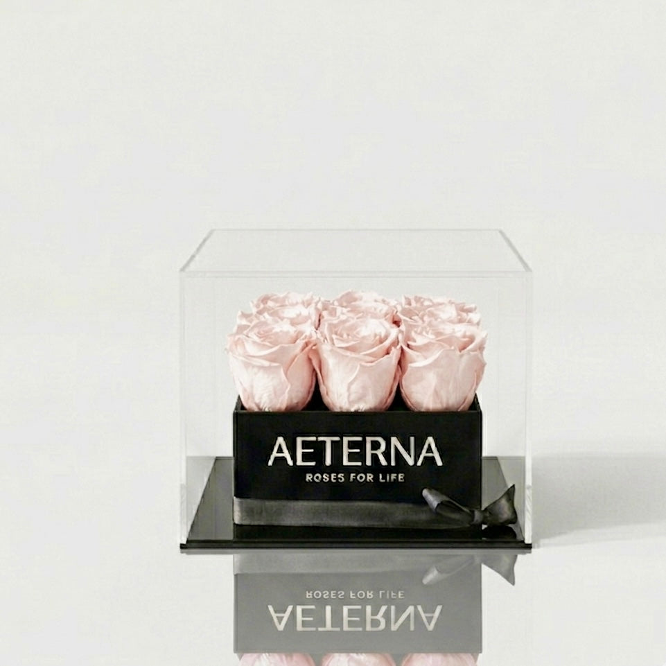AETERNA BOX IX