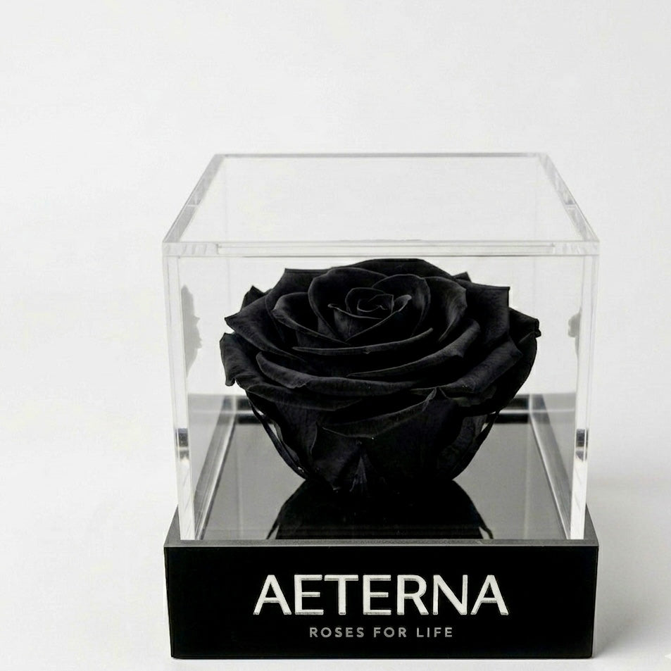ÚNICA BOX