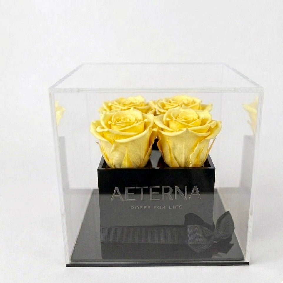 AETERNA BOX IV