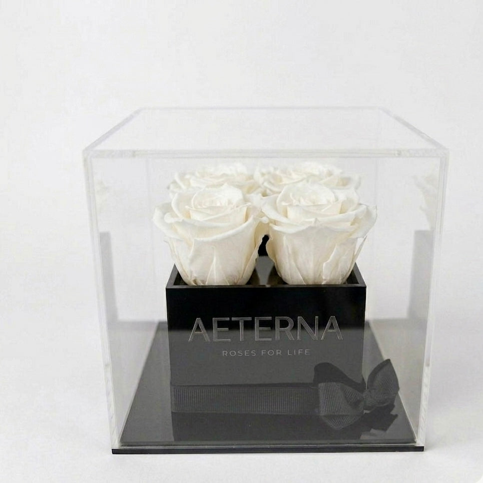 AETERNA BOX IV