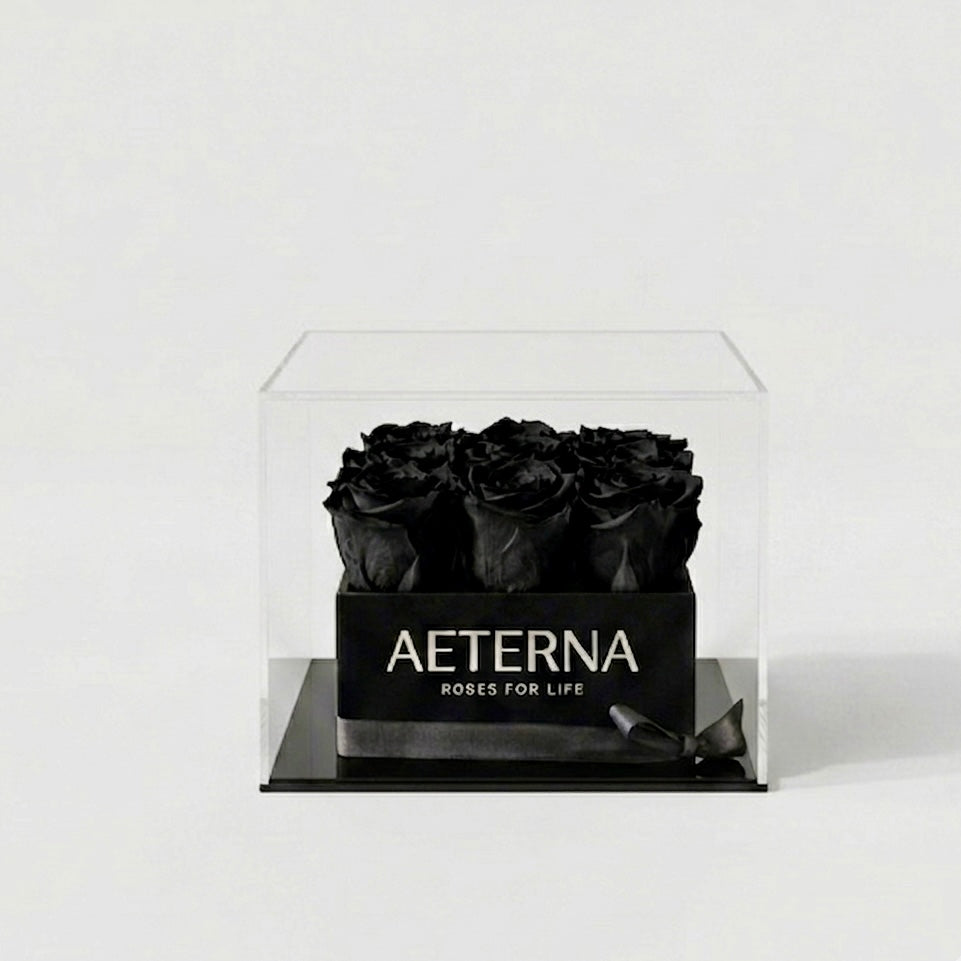 AETERNA BOX IX