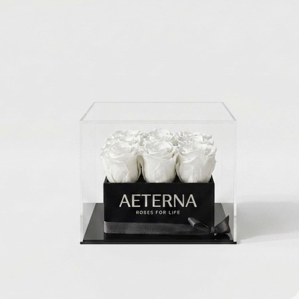 AETERNA BOX IX