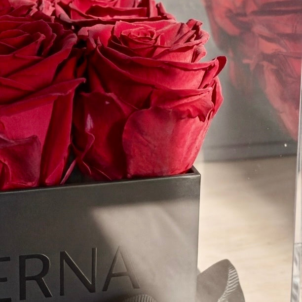 AETERNA BOX IV