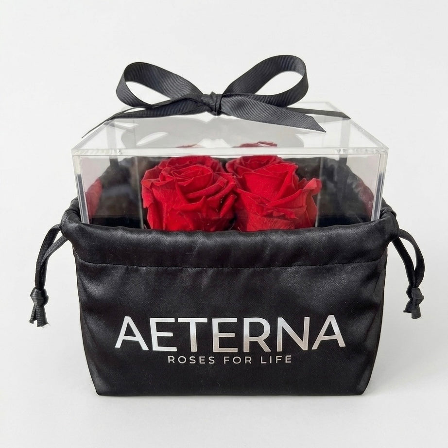 AETERNA BOX IV
