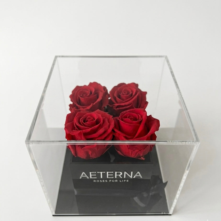 AETERNA BOX IV