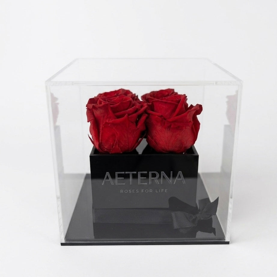 AETERNA BOX IV