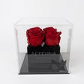 AETERNA BOX IV