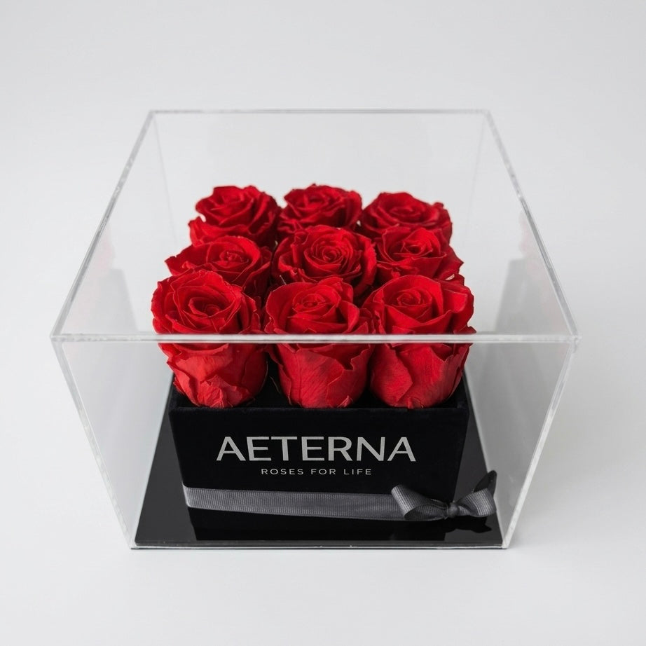 AETERNA BOX IX