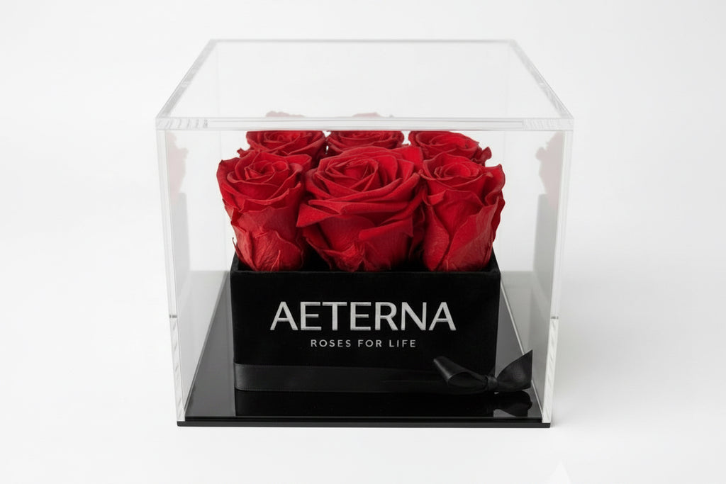 AETERNA BOX IX