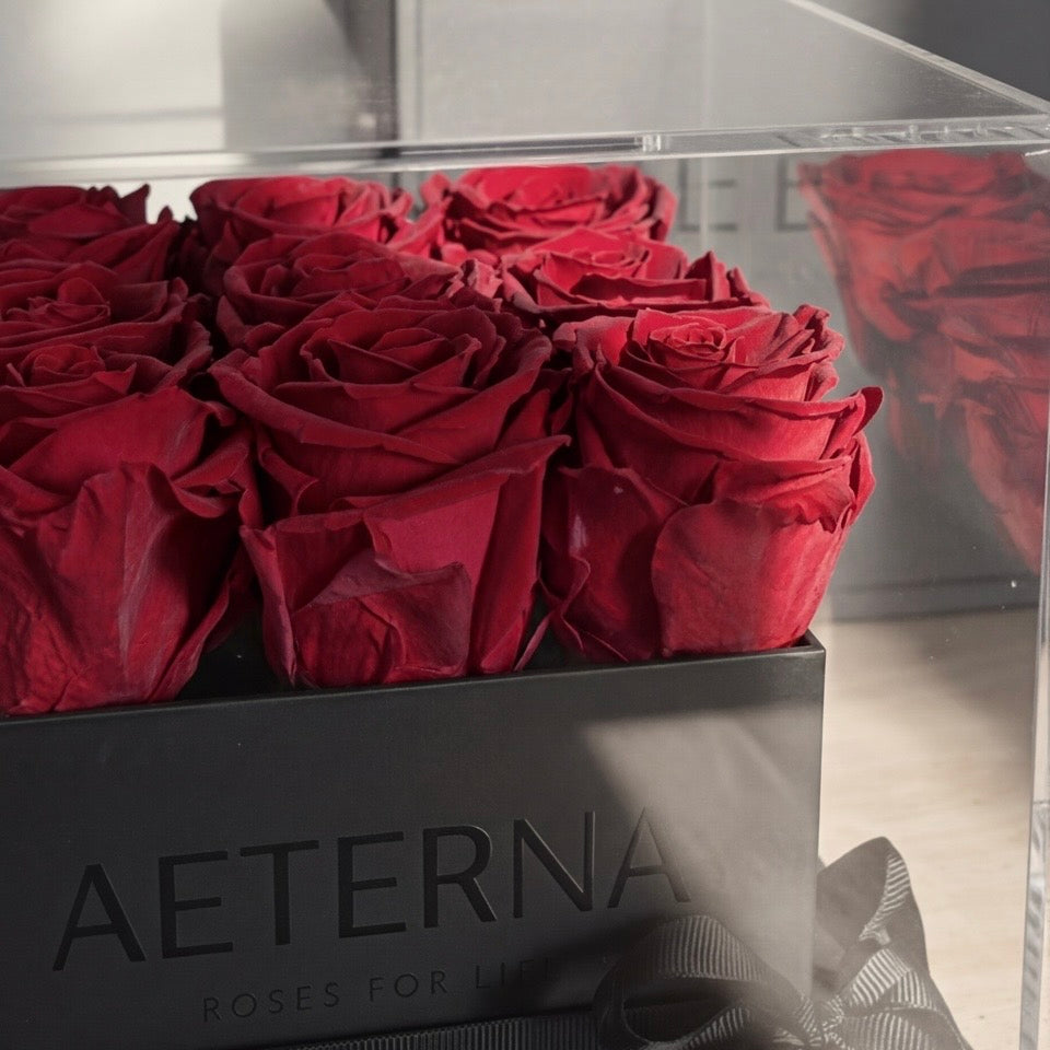 AETERNA BOX IX