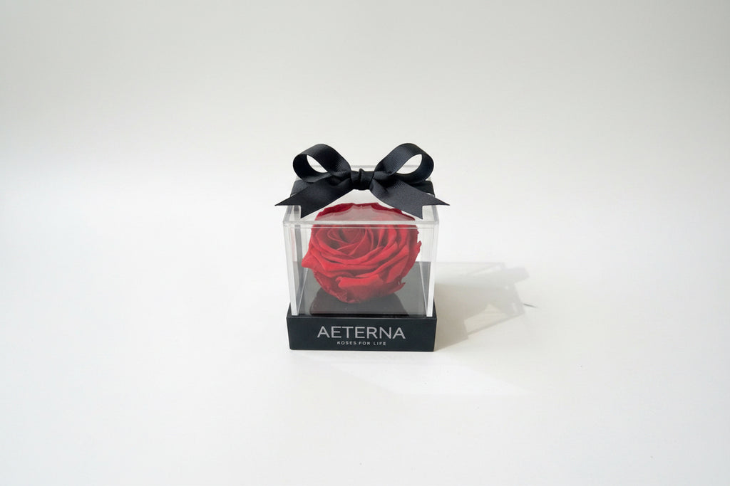 ÚNICA BOX