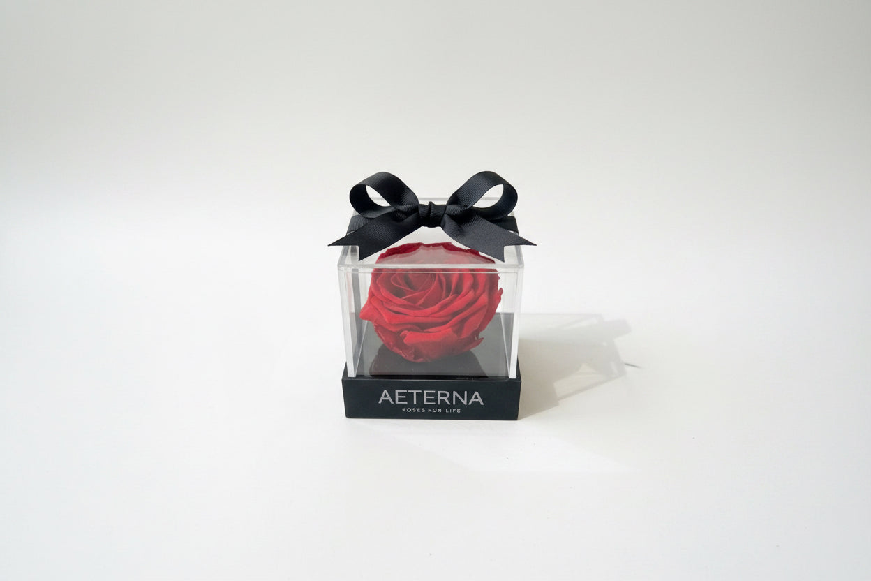 ÚNICA BOX